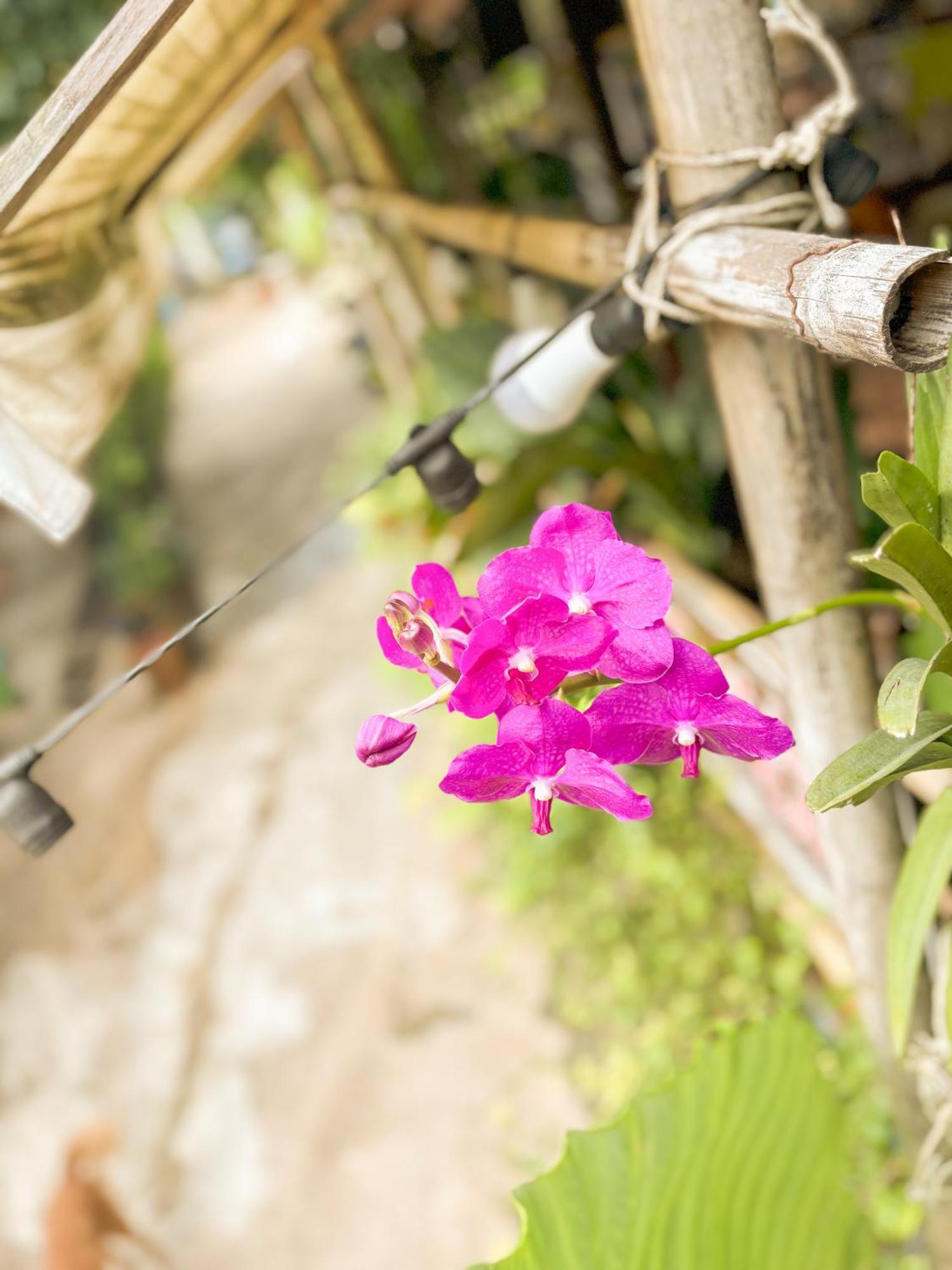 Bed and Breakfast Les Fleurs House Khao Lak Exterior foto