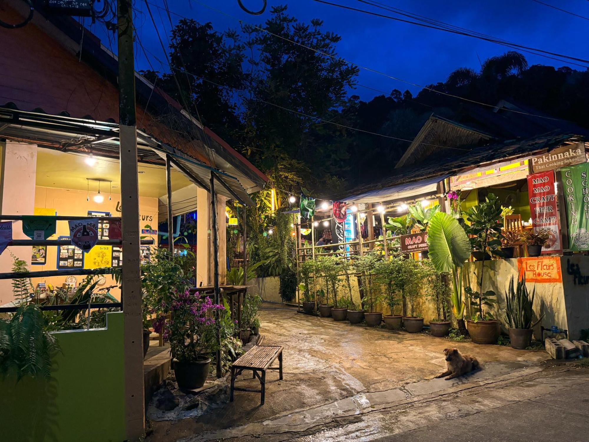 Bed and Breakfast Les Fleurs House Khao Lak Exterior foto
